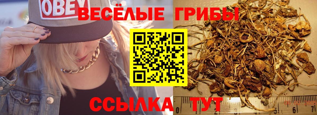 Галлюциногенные грибы прущие грибы Майский